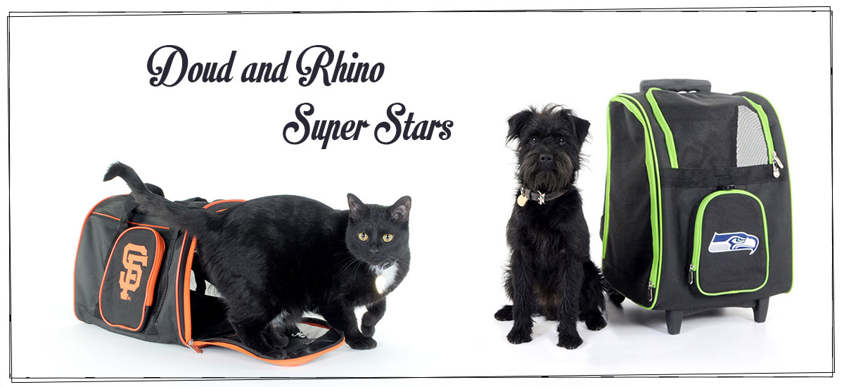 My Pets are stars! no really, just cute :)