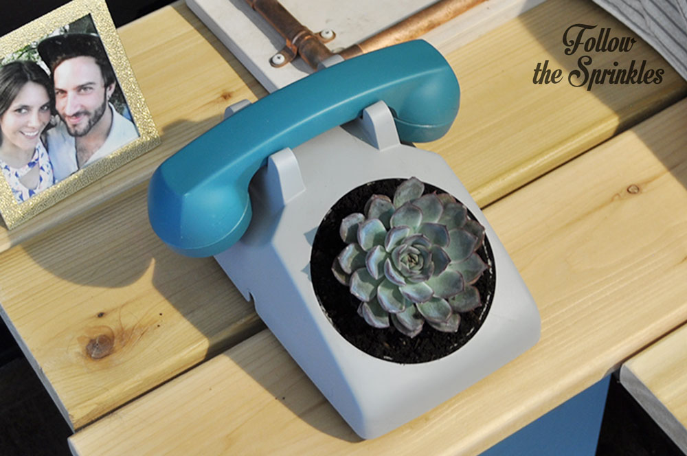 DIY Planter, DIY Phone planter, DIY succulent planter, succulent planter, old school phone, diy repurposing, repurposing old stuff, montreal blogger, canadian blogger, diy blogger