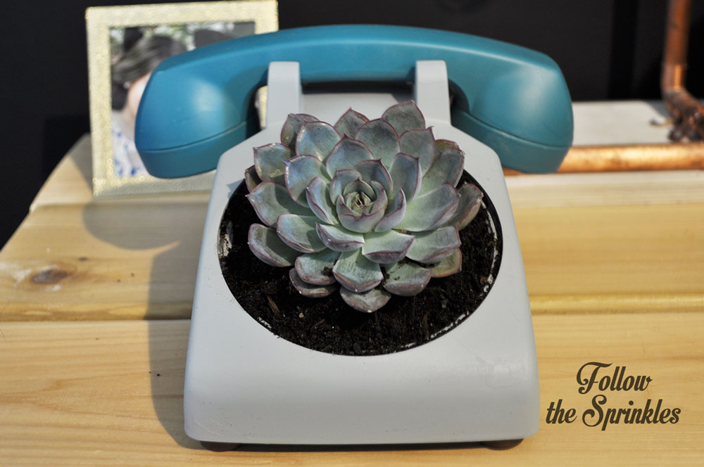 DIY Planter, DIY Phone planter, DIY succulent planter, succulent planter, old school phone, diy repurposing, repurposing old stuff, montreal blogger, canadian blogger, diy blogger