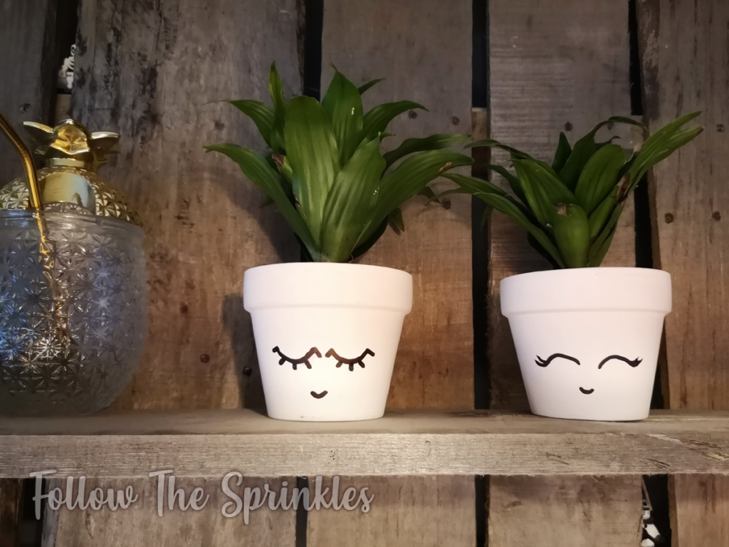 DIY Planter, cute planter, happy planter, cute planter, cute garden, easy diy planter, happy planter, diy, crafty sunday, follow the sprinkles, jen miss pixel, montreal blogger, canadian blogger, diy blogger