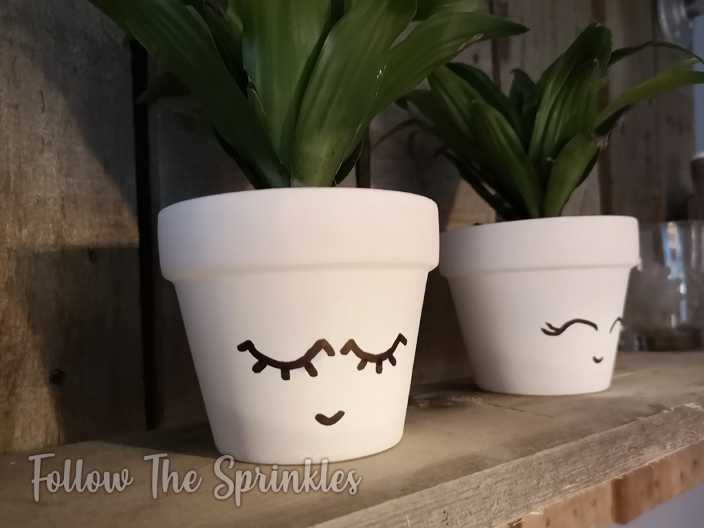 DIY Planter, cute planter, happy planter, cute planter, cute garden, easy diy planter, happy planter, diy, crafty sunday, follow the sprinkles, jen miss pixel, montreal blogger, canadian blogger, diy blogger