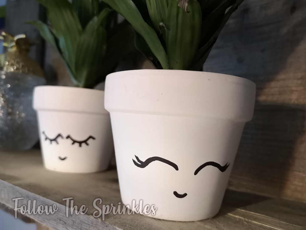 DIY Planter, cute planter, happy planter, cute planter, cute garden, easy diy planter, happy planter, diy, crafty sunday, follow the sprinkles, jen miss pixel, montreal blogger, canadian blogger, diy blogger