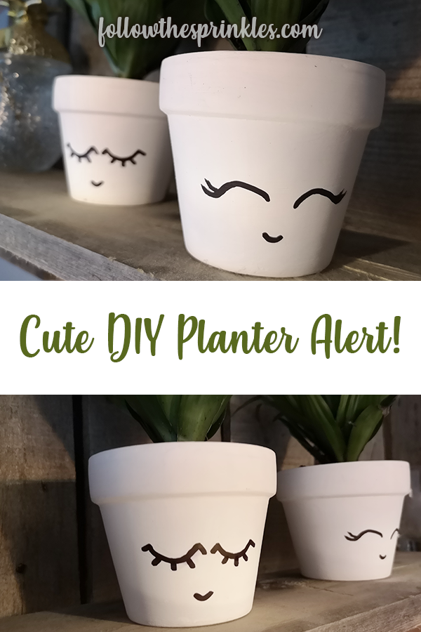 DIY Planter, cute planter, happy planter, cute planter, cute garden, easy diy planter, happy planter, diy, crafty sunday, follow the sprinkles, jen miss pixel, montreal blogger, canadian blogger, diy blogger