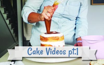 Cake Videos – Follow the Sprinkles 001